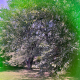 Photography Filter Keychains